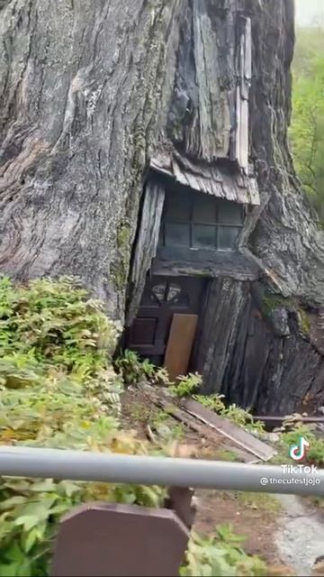 Настоящий деревянный дом смотреть онлайн