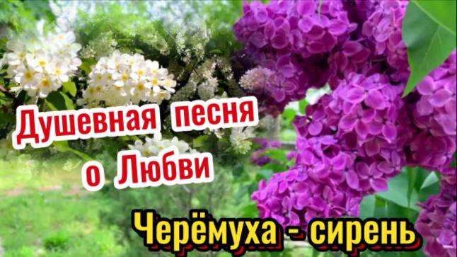Нежная душевная песня о Любви! Черёмуха - сирень!