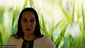 О личном пути и опыте