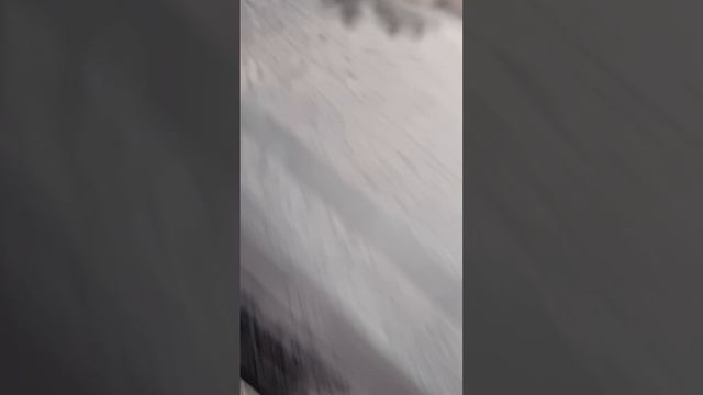 1000083943.mp4 смотреть онлайн