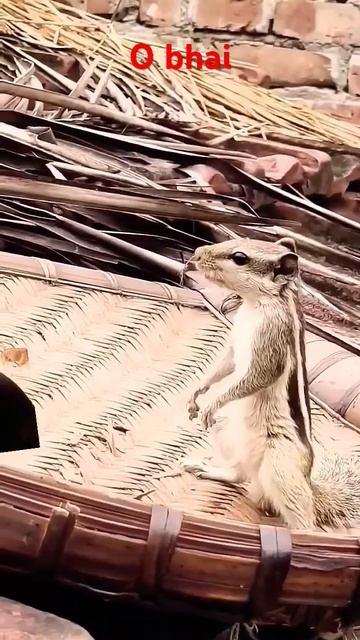 #funny #video #youtubeshorts #my #channel #subscribe🥀❤️🔥💥⭐ смотреть онлайн