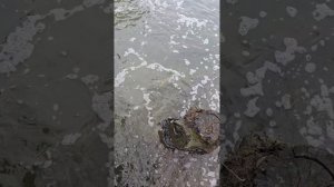1000063280.mp4