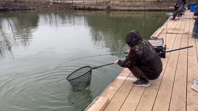СЗ,поимка Форели