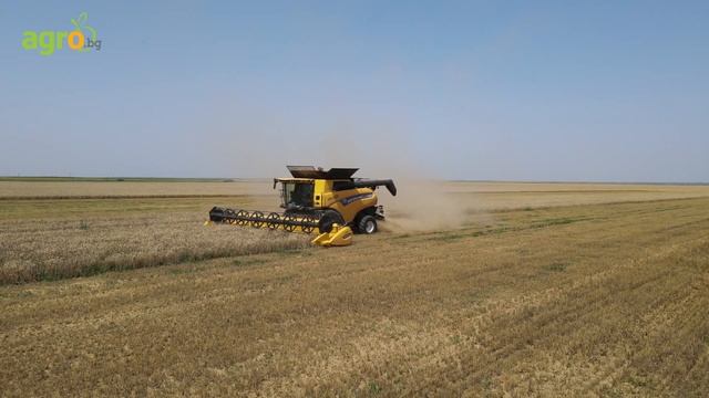 Демонстрация на жътва с New Holland CR8.90 в Бяла Слатина смотреть онлайн
