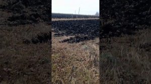 сельская жизнь