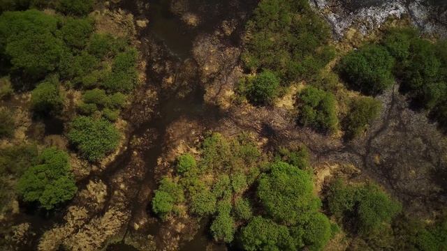 Небольшой водоём. смотреть онлайн