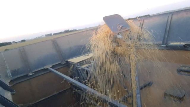 Challenger 660 Cosecha de soja 2019 смотреть онлайн