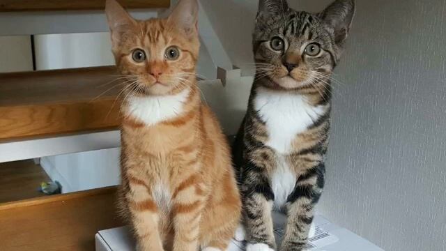 посмотри когда будет грустно:) смотреть онлайн