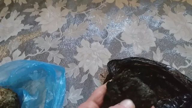 Иван Чай. эксперимент
