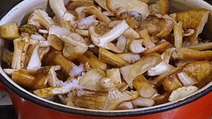 Подлива из опят и сметаны