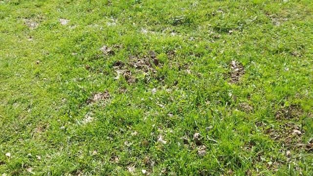 Окончание апреля Краткие итоги смотреть онлайн