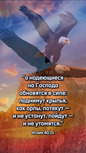 Слово Божье смотреть онлайн