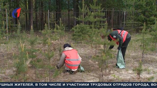 Исполняя наказ избирателей. ТК «Первый Советский»