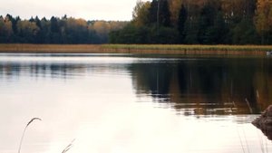 Вальс  бостон  Александр Лобановский саксофон Выборг