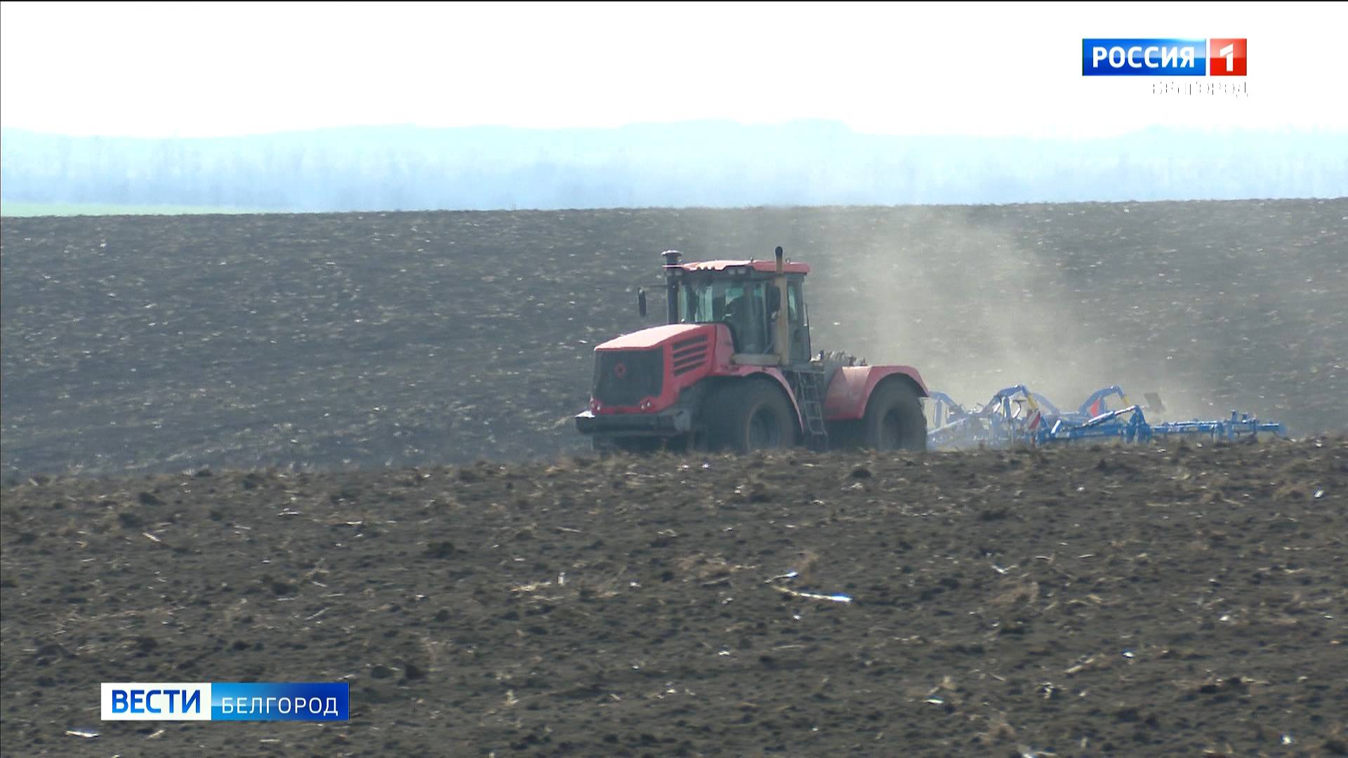 Белгородские аграрии приступили к весенним полевым работам