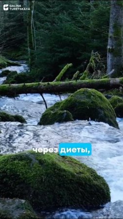 Сила воли не поможет похудеть
