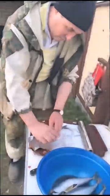 СКУМБРИЯ НА УГЛЯХ В ФОЛЬГЕ! СУПЕР ВКУСНО! #eating #tasty #вкусно #like #bonappetit смотреть онлайн