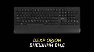 Dexp Orion 02 - Appearance