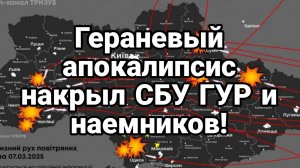 МРИЯ⚡️ ТАМИР ШЕЙХ / СЕРГЕЙ ЕГОРИН. ГЕРАНЕВЫЙ АПОКАЛИПСИС. Новости Сводки с фронта