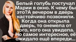 Белый голубь постучал Марии в окно. К чему бы это? А вечером в дверь в дверь настойчиво позвонили...