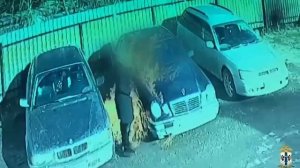 В Новосибирске 37-летняя женщина попыталась сжечь своего бывшего мужика, подожгла его машину.