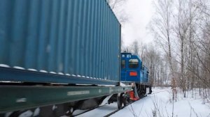 Маневровые работы тепловозов ТГМ6А-2456 и ТГМ6В-0074 на Купавинском ППЖТ.