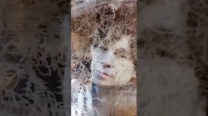 Архангельск. Пилот. Татьяна Буланова