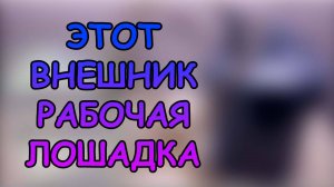 ЭТОТ ВНЕШНИК - РАБОЧАЯ ЛОШАДКА