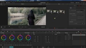 Davinci Resolve 14 Color Stabilizer
