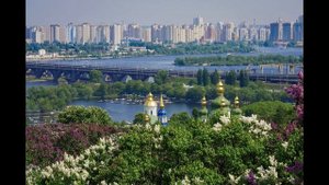 STOP THE WAR - KANONENFIEBER - CINEMATIC