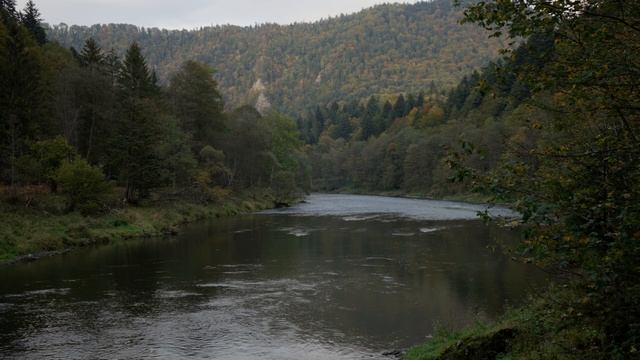 Gentle Sound of Flowing River - Ambience Sound, Noise for Sleep and Stress Relief смотреть онлайн