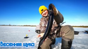 ВЕСЕННЯЯ ЩУКА ч.1