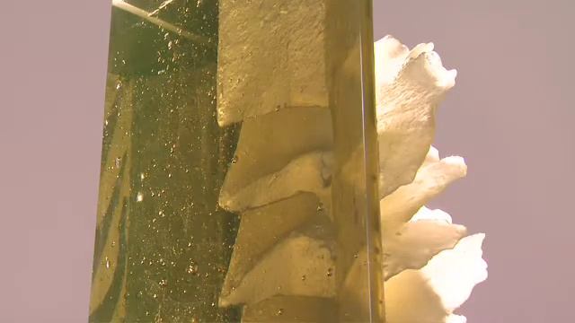 LUXE.TV Luxembourg Zora Palova смотреть онлайн