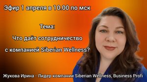 Для новичков: что даёт сотрудничество с компанией Siberian Wellness?