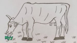 Как нарисовать поэтапно Корову для Детей | Учимся рисовать на Рутуб