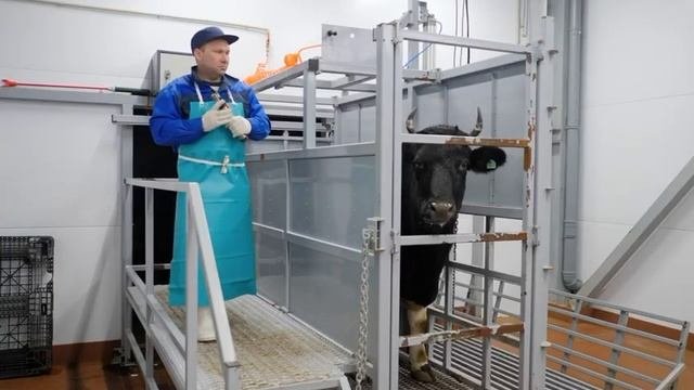 Красная Горка