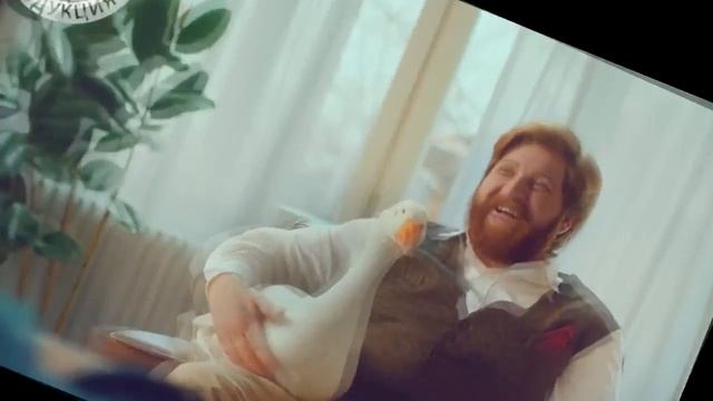 Жатецкий Гусь  RYTP Необычное видео