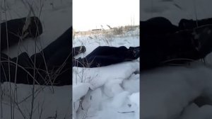 Упал с 5 этажа