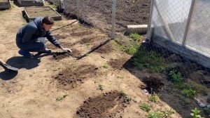 НАМ НЕ ВЕЗЁТ// ОГОРОДНЫЕ ДЕЛА// ПОСАДИЛА ОВОЩИ// СДЕЛАЛИ ЛИВНЁВКУ