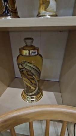 Кунсткамера на Фукуоке