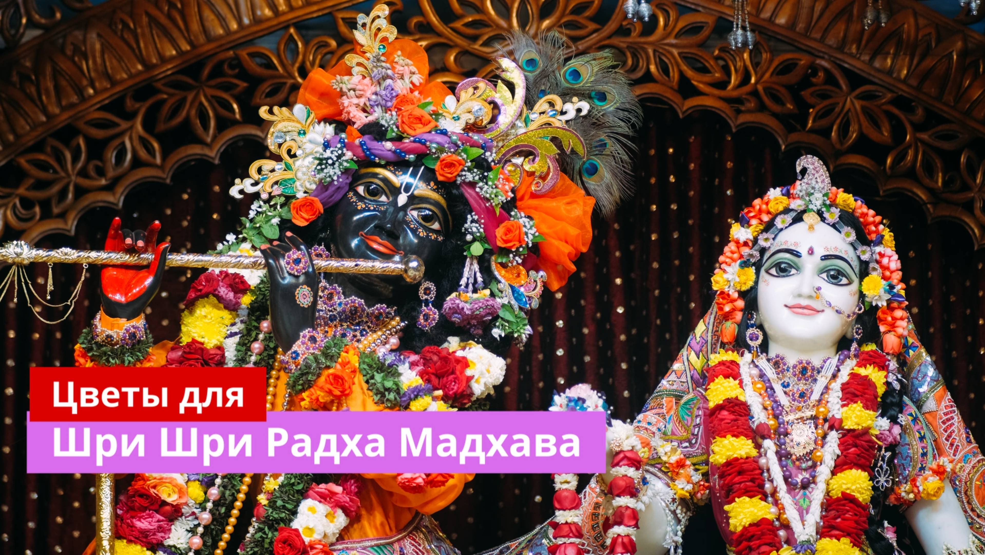 Цветы для Шри Шри Радха Мадхавы смотреть онлайн