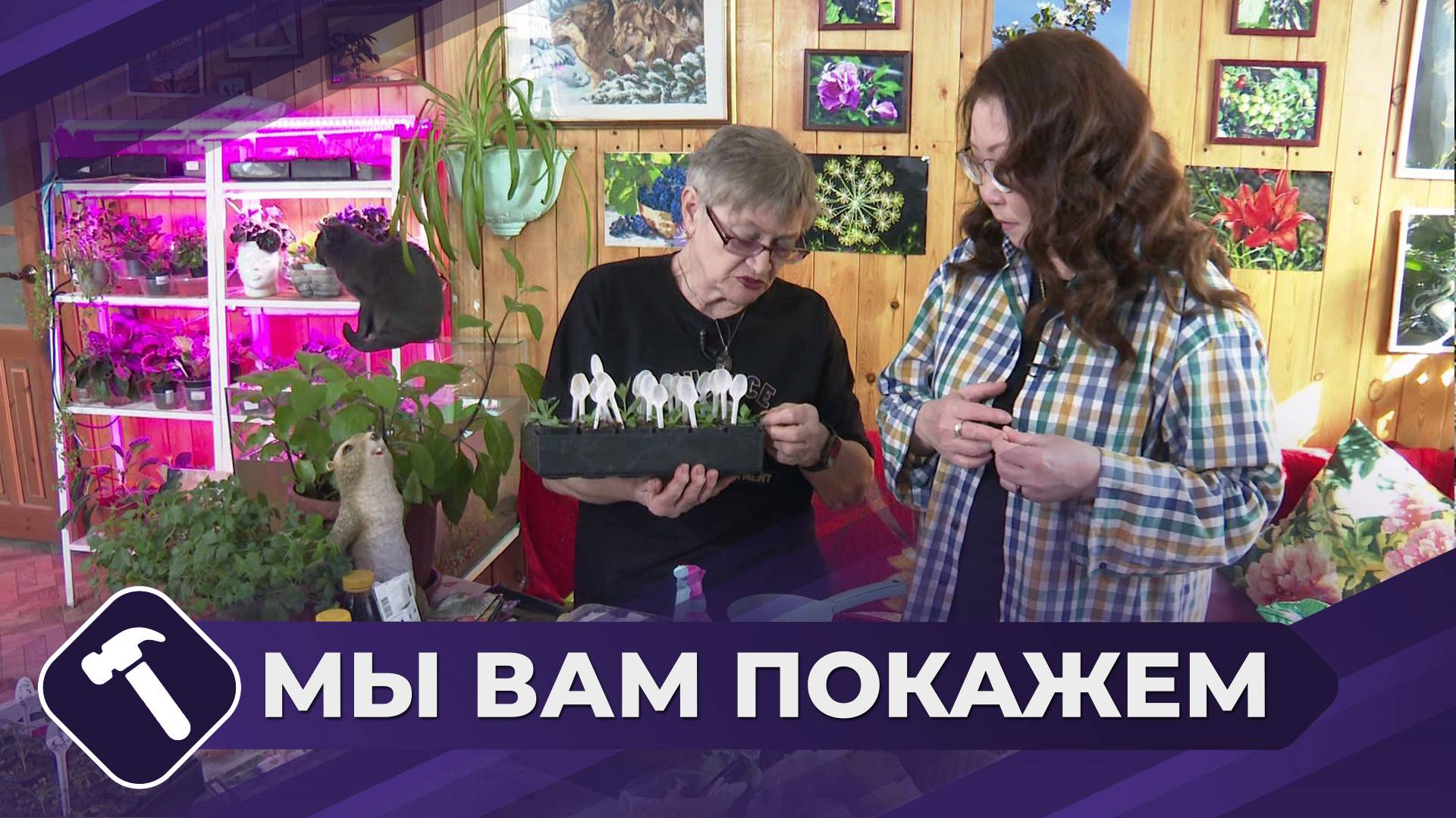 Мы вам покажем: Посадка овощей