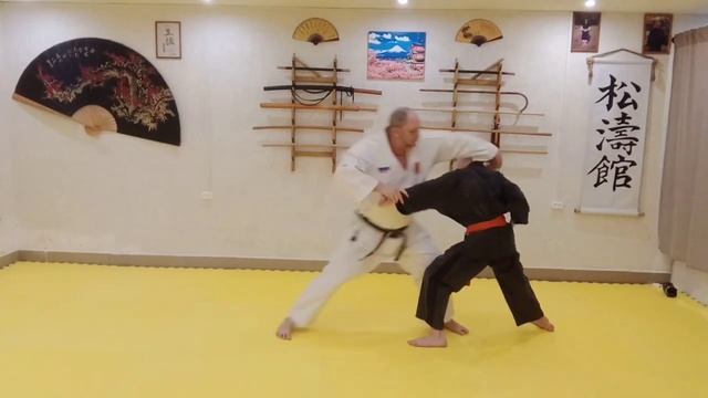 ката - бункай. хейан ни дан. Гриценко Алексей смотреть онлайн