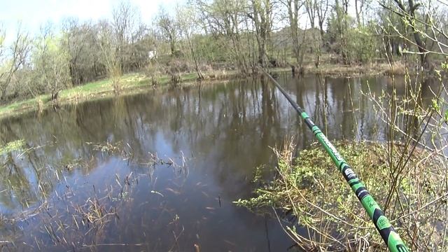 Риболовля на поплавок.  Весенняя риболовля в проводку, на річці Уж. Клев гарной плотви.🐟🐟🐟🎣🎣🎣