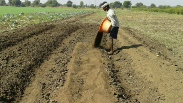 बरसात में फूलगोभी की नर्सरी कैसे डालें |मात्र 10 दिन में तैयार|phoolgobhi ki nursery|गोभी की नर्सरी смотреть онлайн