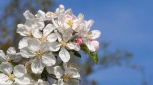 Медитация по проработке страха опозориться