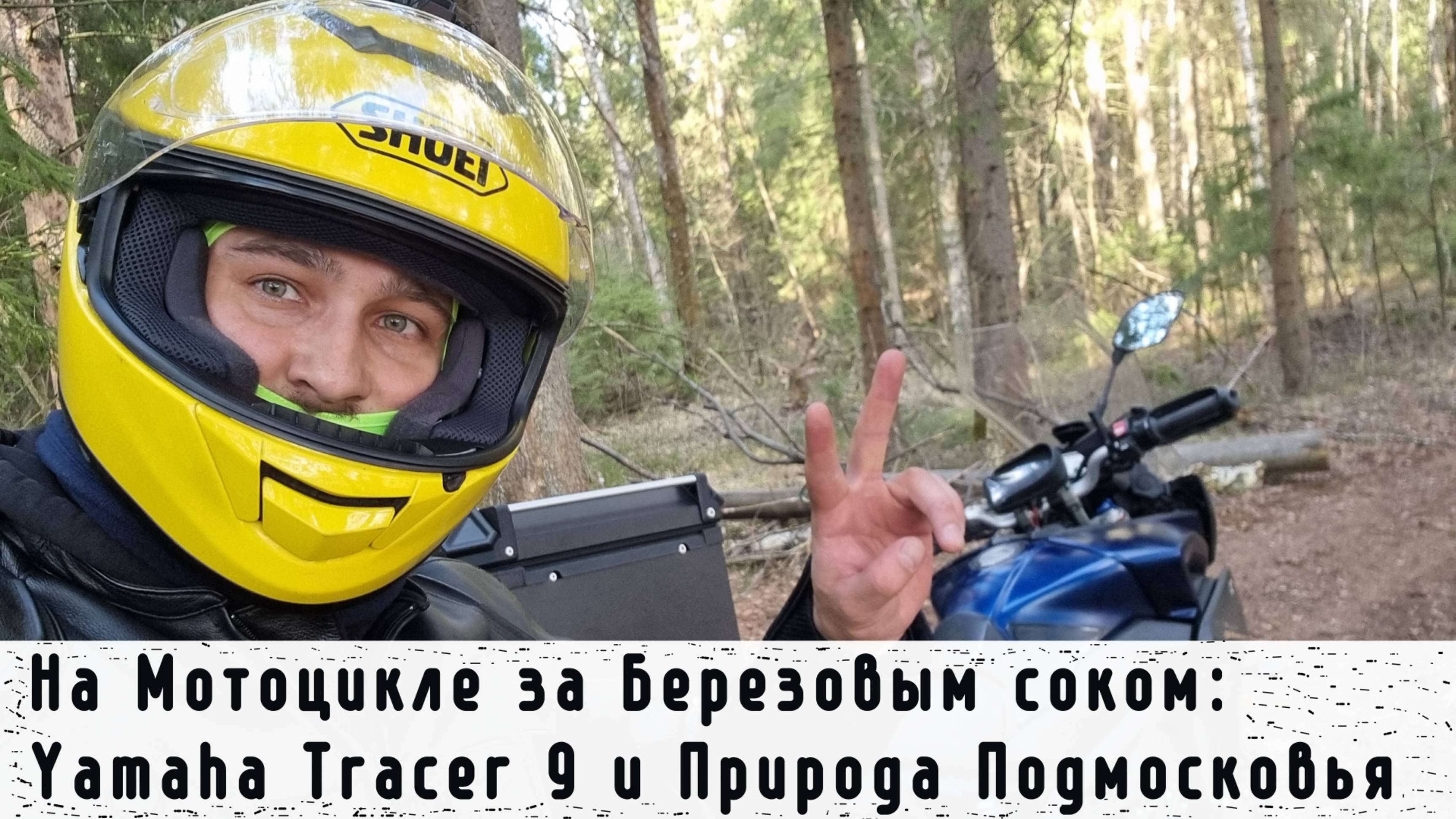 На Мотоцикле за Березовым соком: Yamaha Tracer 9 и Природа Подмосковья