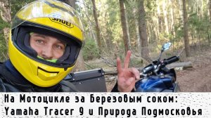 На Мотоцикле за Березовым соком: Yamaha Tracer 9 и Природа Подмосковья