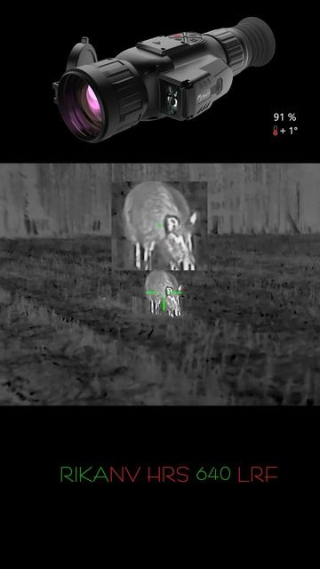 Добыл огромного кабана! Охота на трофейного секача с тепловизором #охота #кабан #беларусь смотреть онлайн