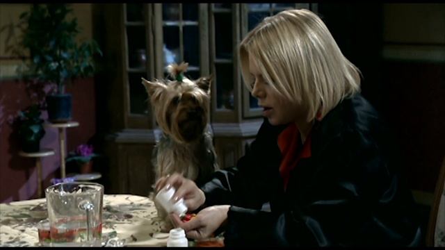 СЕРИАЛ ХОЛОСТЯКИ. СЕРИЯ 12 смотреть онлайн